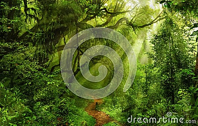 Asian rain forest Stock Photo