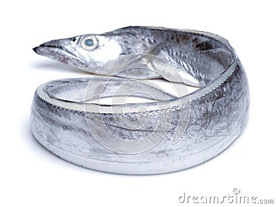 Asian ribbon fish Stock Photo