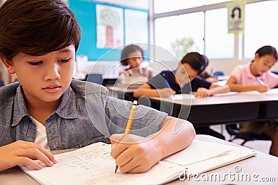 Asian schoolboy working in elementary school class Stock Photo