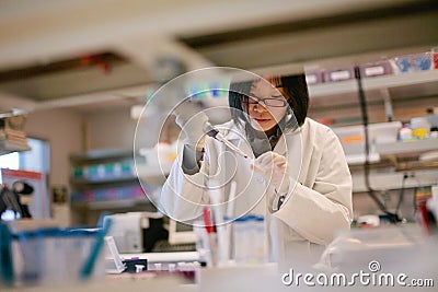 Asian Scientist Pipetting at a Biomedical Laboratory Stock Photo