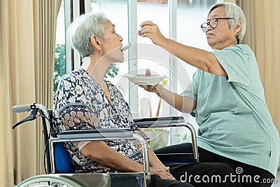 Asian senior woman is feeding older sister with thai food,female elderly helping her to eat and take a drug, love,care and concern Stock Photo