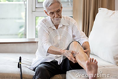 Asian senior woman hold her leg suffering from pain in legs,elderly patient have cramps in her calves,massage the calf by hands or Stock Photo