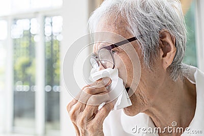 Asian senior woman sneezing in tissue paper having allergy to dust in her home,old elderly with allergic rhinitis,chronic rhinitis Stock Photo