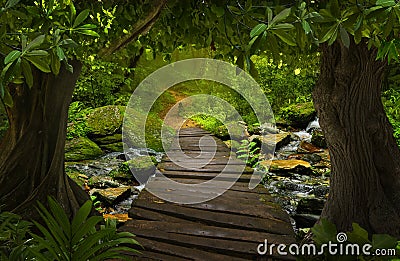 Asian tropical rainforest with bridge Stock Photo