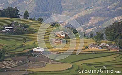 Asian village landscape in a rural area with paddy field Stock Photo