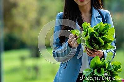 Asian Woman Botanist checking vegetable leaf in garden Stock Photo