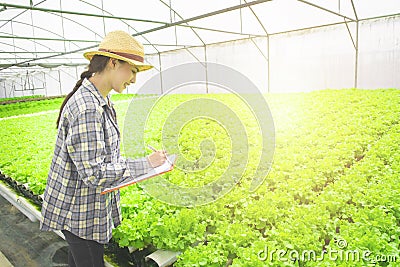 Asian woman farmer check quality of green lettuce in greenhouse organic hydroponic farm,lady gardener write on document file with Stock Photo