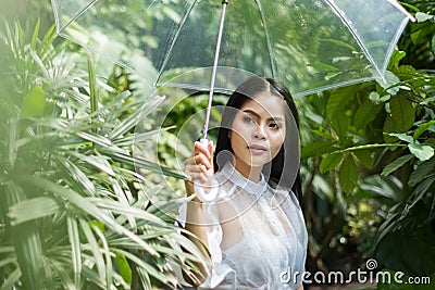 Asian woman holding transparent plastic umbrella in rainy day during stay outdoor at tropical forest with green leaf. Stock Photo