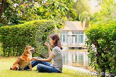 An Asian woman is sitting with a dog. A young woman is training a Shiba Inu in a park Stock Photo