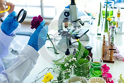 Asian Woman and team science lab research for Natural alternative herb and essential oil from fresh flower new product skin care w Stock Photo