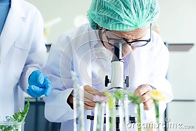 Asian Woman and team science lab research for Natural alternative herb and essential oil from fresh flower Stock Photo