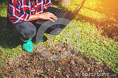 Asian woman using digital tablet in the cultivation of vegetable. modern technology application in agricultural growing activity Stock Photo