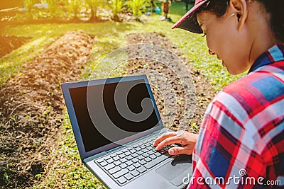 Asian woman using digital tablet in the cultivation of vegetable. modern technology application in agricultural growing activity Stock Photo