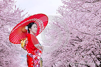 Asian woman wearing japanese traditional kimono and cherry blossom in spring, Japan Stock Photo