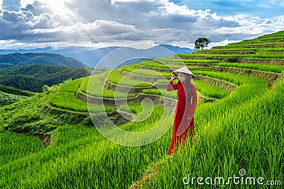 Asian woman wearing Vietnam culture traditional at rice terrace of Ban pa bong piang in Chiangmai, Thailand Stock Photo