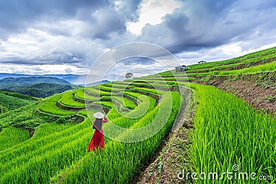 Asian woman wearing Vietnam culture traditional at rice terrace of Ban pa bong piang in Chiangmai, Thailand Stock Photo