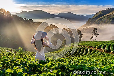 Asian woman wearing Vietnam culture traditional in strawberry garden on Doi Ang Khang , Chiang Mai, Thailand. Stock Photo