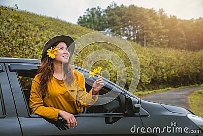 Asian women are on vacation. Drive happily traveling to the Mexican sunflower flower garden in Thailand Stock Photo