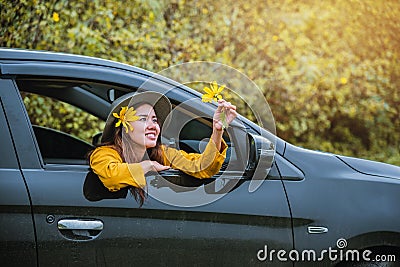 Asian women are on vacation. Drive happily traveling to the Mexican sunflower flower garden in Thailand Stock Photo