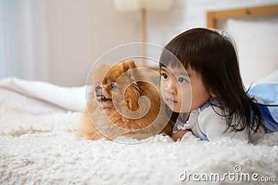 Asian 3-years child lying on white bed together with brown Pomeranian Stock Photo