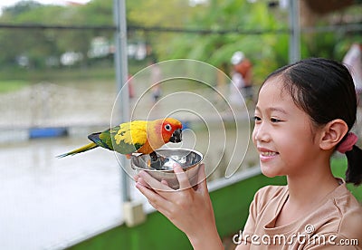 Asian young girl kid holding Aluminium bowl feeding macaw bird animal in zoo Stock Photo