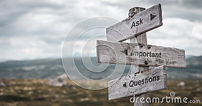 ask important questions text engraved on wooden signpost outdoors in nature. Stock Photo