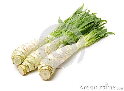 Asparagus lettuce, celery, celtuce vegetable, stem and green leaves Stock Photo