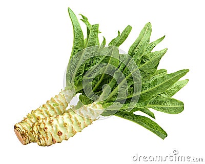 Asparagus lettuce Stock Photo