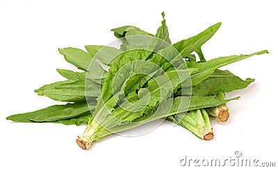Asparagus lettuce leaf Stock Photo