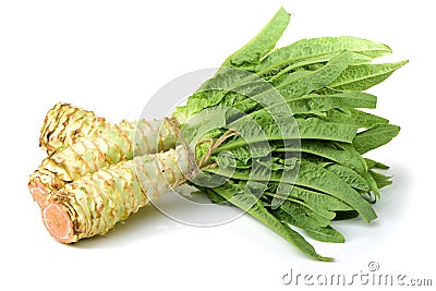 Asparagus lettuce Stock Photo