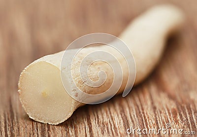 Asparagus racemosus or medicinal Shatavari Stock Photo