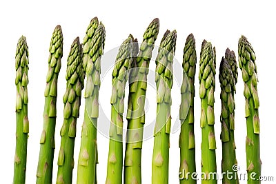 Asparaguson On Isolated Tansparent Background, Png. Generative AI Stock Photo