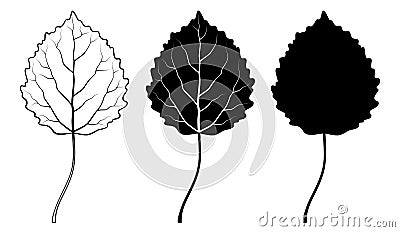 Aspen leaf. Vector illustration. Outline, silhouette, line art drawing Vector Illustration