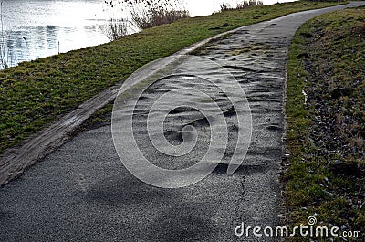 The asphalt pavement is built too close to the old poplars, which gradually destroy the road surface with their roots. on strong r Stock Photo