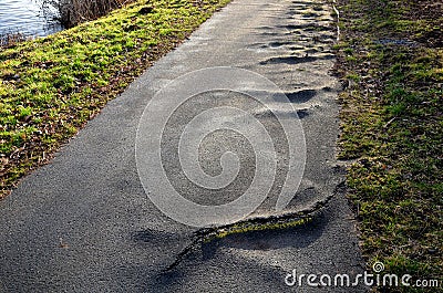 The asphalt pavement is built too close to the old poplars, which gradually destroy the road surface with their roots. on strong r Stock Photo