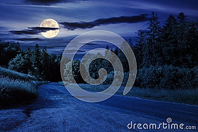 asphalt road with cracks winding through shaded coniferous forest at night Stock Photo