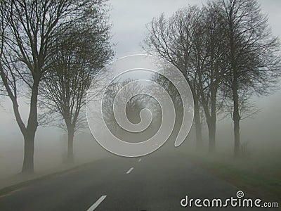 Asphalt road in the fog Stock Photo