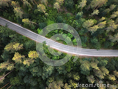 The asphalt road through the forest . Aerial view from the drone at sunset in the summer. Stock Photo