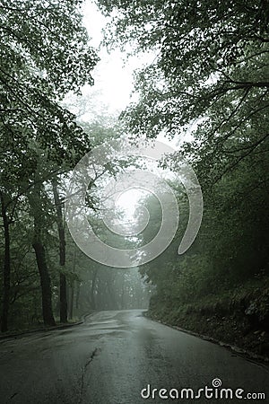 An asphalt road that goes through a misty dark misterious pine forest. Narrow road Montenegro and green trees Stock Photo