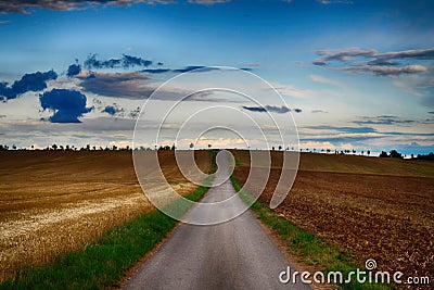 Asphalt road with horizon covered with trees in the evening. Croped agriculture field. Dark cloud,blue sky. Stock Photo