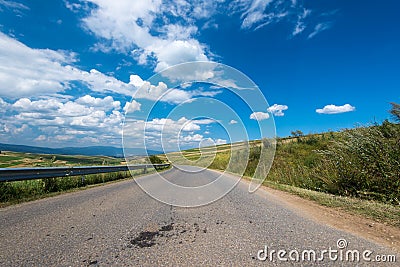 Asphalt road leading through green agricultural fields at summertime Stock Photo