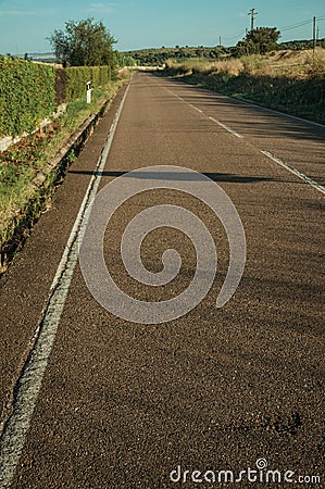 Asphalt on a road next to ditch and green bushes Stock Photo