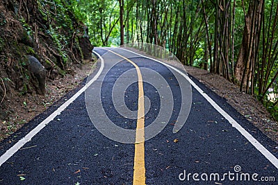 Asphalt road pavement at national park Chiang mai Stock Photo