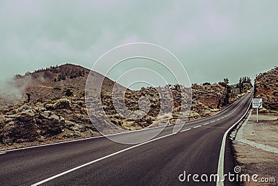 Asphalt road in summer forest with beautiful landscape Stock Photo