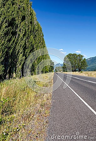 Asphalt road with trees aligning to the horizon Stock Photo