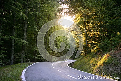 Asphalt winding curve road in a beech forest Stock Photo