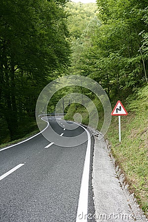 Asphalt winding curve road in a beech forest Stock Photo