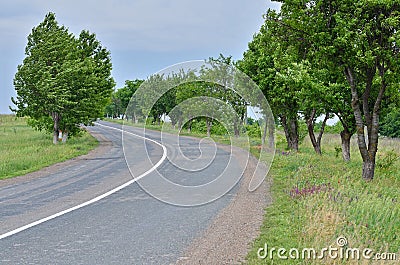 Asphalted road Stock Photo