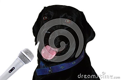 Aspiring Singer and Radio Jockey Stock Photo