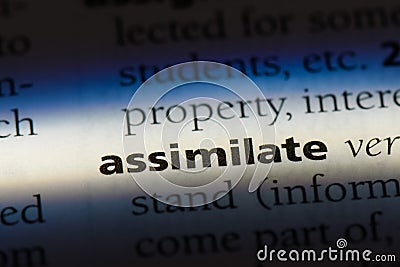 assimilate Stock Photo